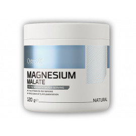 Magnesium Malat 120g natur