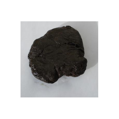 Räucherwerk – Resina Ladanum – 10g