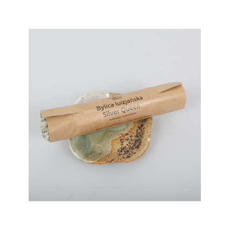 Louisiana Beifuß Silberne Königin – 50g geschnitten