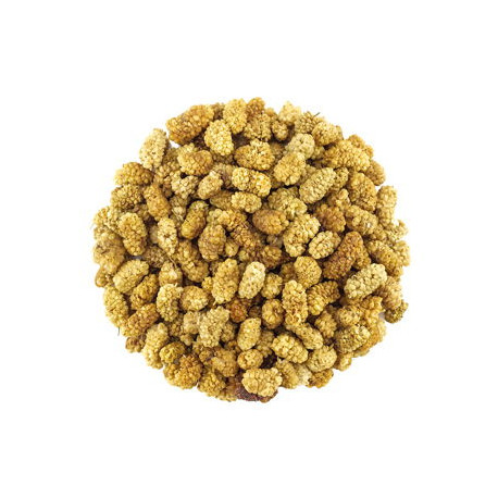 Maulbeere getrocknet