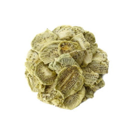 Gefriergetrocknete Kiwi - 500g