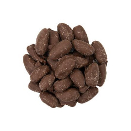 Datteln in dunkler Schokolade