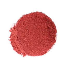 Gefriergetrocknete Erdbeeren Pulver - 13,5kg