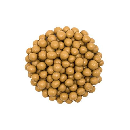 Haselnüsse in Karamellschokolade - 500g