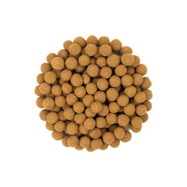 Reis-Crispies mit Zimt