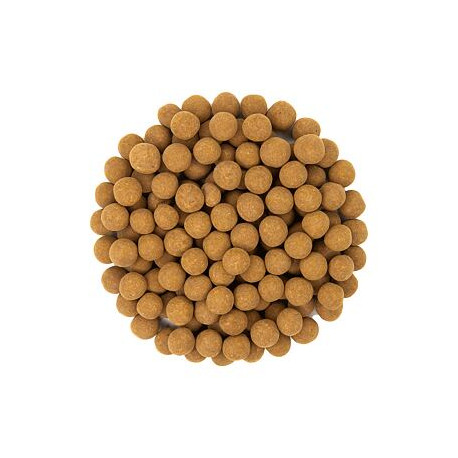 Reis-Crispies mit Zimt