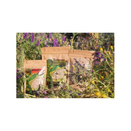 Magisches Teeservice