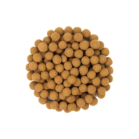 Reis-Schokoladenstückchen mit Zimt - 3kg