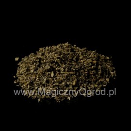 Königskerze Top - Verbascum thapsiforme - 50g