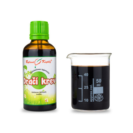Drachenblutstropfen (Tinktur) 50 ml