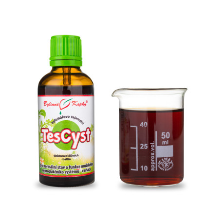 TesCyst Tropfen (Tinktur) 50 ml