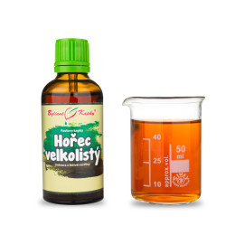 Großblättriger Enzian (TCM) - Pauls Kräutertropfen (Tinktur) 50 ml