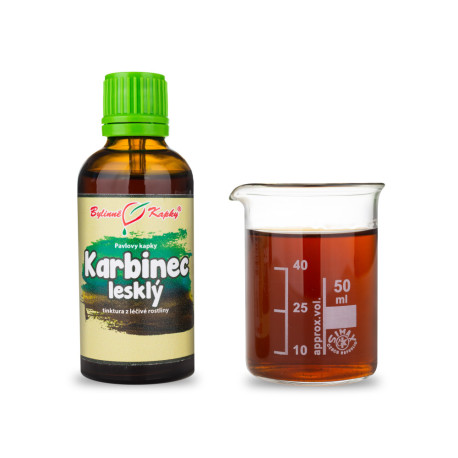 Glänzendes Karbid (TCM) - Pauls Kräutertropfen (Tinktur) 50 ml