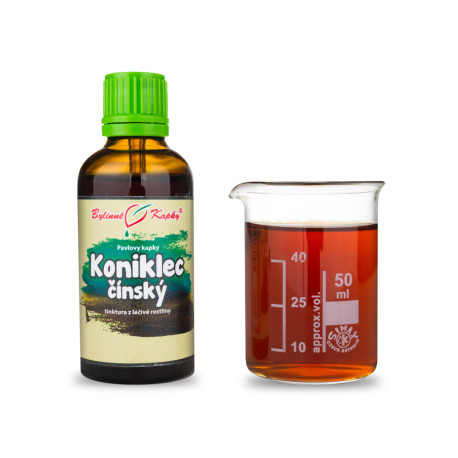 Chinesischer Schachtelhalm (TCM) - Pauls Kräutertropfen (Tinktur) 50 ml