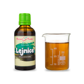 Lejnice (TCM) - Pauls Kräutertropfen (Tinktur) 50 ml