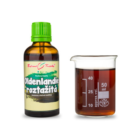 Oldenlandia Stretched (TCM) - Pauls Kräutertropfen (Tinktur) 50 ml