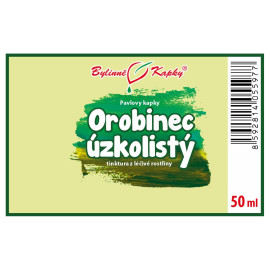 Rohrkolben (TCM) - Pauls Kräutertropfen (Tinktur) 50 ml