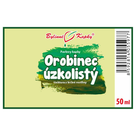 Rohrkolben (TCM) - Pauls Kräutertropfen (Tinktur) 50 ml