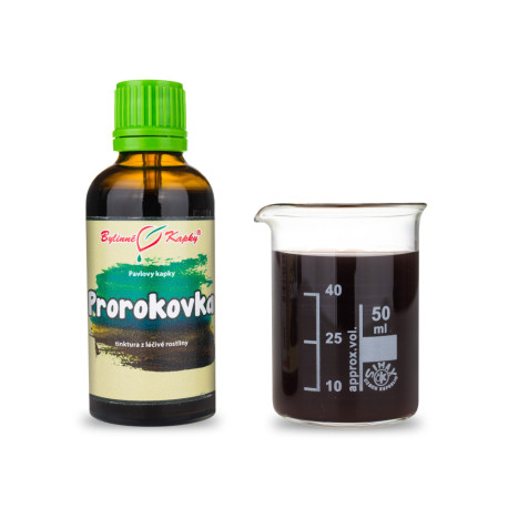 Prophetin (TCM) - Pauls Kräutertropfen (Tinktur) 50 ml