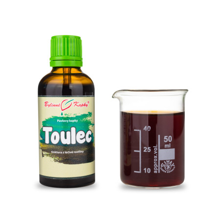 Lobed Köcher (TCM) - Pauls Kräutertropfen (Tinktur) 50 ml