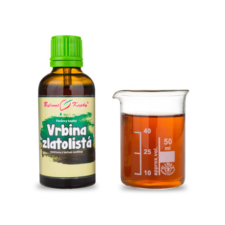 Goldblättrige Weide (TCM) - Pauls Kräutertropfen (Tinktur) 50 ml