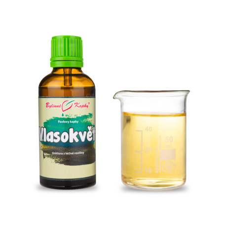 Vlasokvět (TCM) - Pauls Kräutertropfen (Tinktur) 50 ml