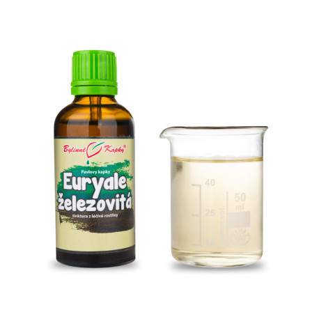 Euryale Eisen (TCM) - Pauls Kräutertropfen (Tinktur) 50 ml