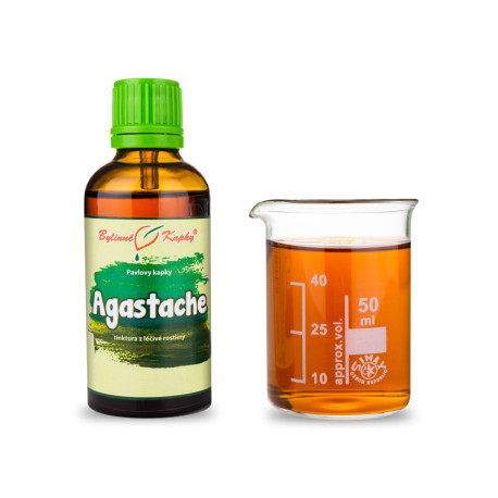 Agastache Tropfen (Tinktur) 50 ml