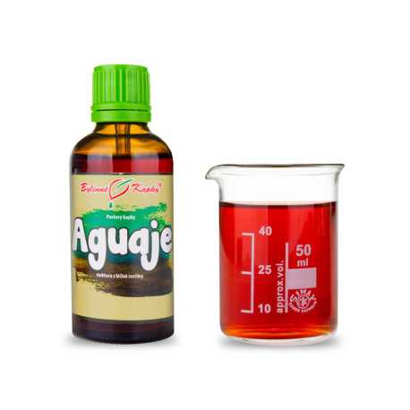 Aguaje - Pauls Kräutertropfen (Tinktur) 50 ml