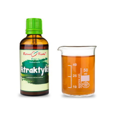 Atraktylis Tropfen (Tinktur) 50 ml