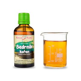 Steinbrechwurzel Tropfen (Tinktur) 50 ml