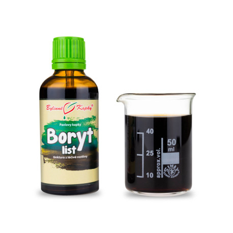 Färben Gewöhnliche Blatttropfen (Tinktur) 50 ml