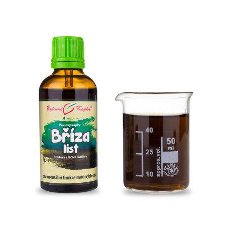 Birke hängende Blatttropfen (Tinktur) 50 ml