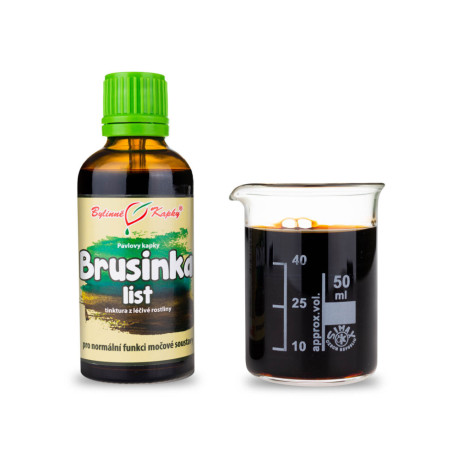 Cranberry-Blatttropfen (Tinktur) 50 ml