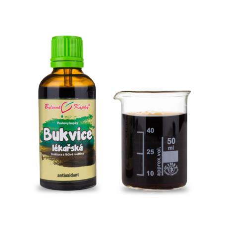 Betonika medizinische Tropfen (Tinktur) 50 ml