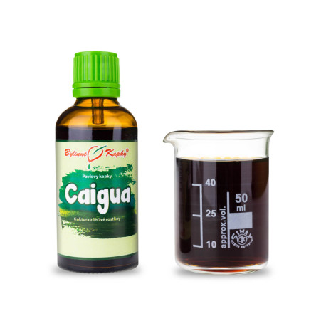 Caigua Tropfen (Tinktur) 50 ml