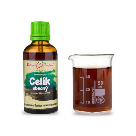 Goldrutentropfen (Tinktur) 50 ml