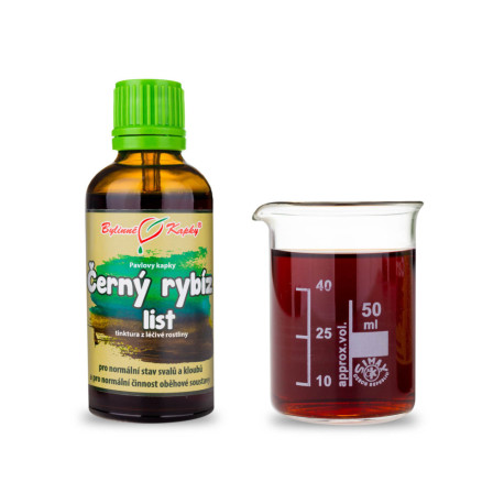 Schwarze Johannisbeere Blatttropfen (Tinktur) 50 ml