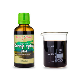 Schwarze Johannisbeere Fruchttropfen (Tinktur) 50 ml