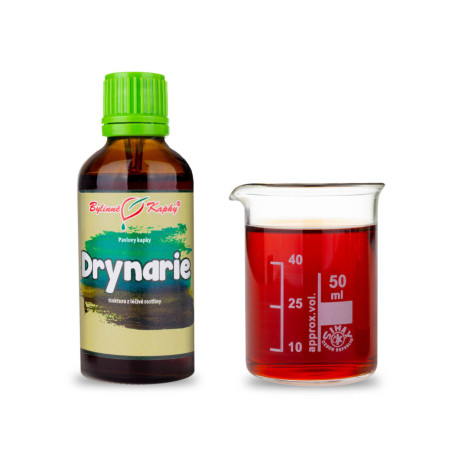 Drynaria (TCM) Tropfen (Tinktur) 50 ml