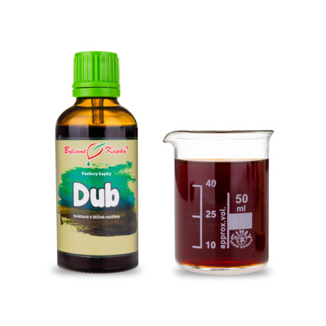 Sommereiche (Tinktur) 50 ml