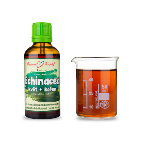 Echinacea lila Tropfen - blühender Stiel + Wurzel (Tinktur) 50 ml