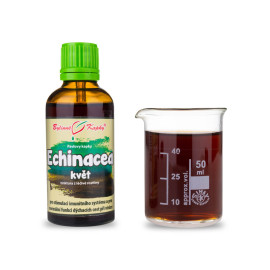 Echinacea lila Blüte - (Tinktur) 50 ml