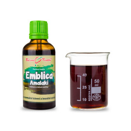 Amalaki Tropfen (Tinktur) 50 ml