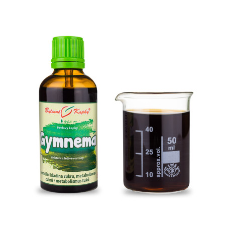 Gymnema Waldtropfen (Tinktur) 50 ml