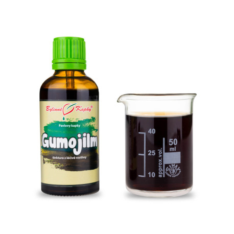 Gumojilm Tropfen (Tinktur) 50 ml