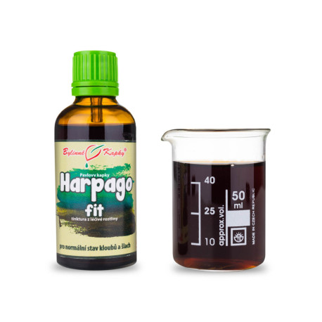Harpagophyten Liegetropfen (Tinktur) 50 ml