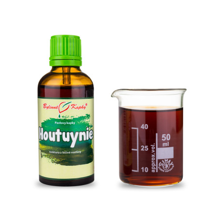 Houtuynia Tropfen (Tinktur) 50 ml