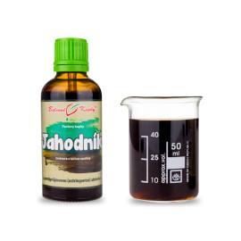 Erdbeertropfen (Tinktur) 50 ml