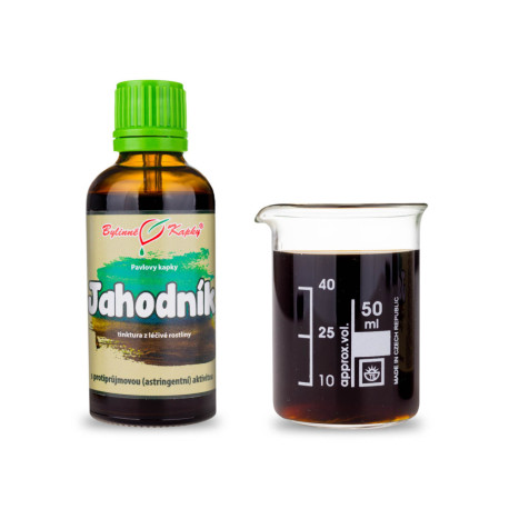 Erdbeertropfen (Tinktur) 50 ml